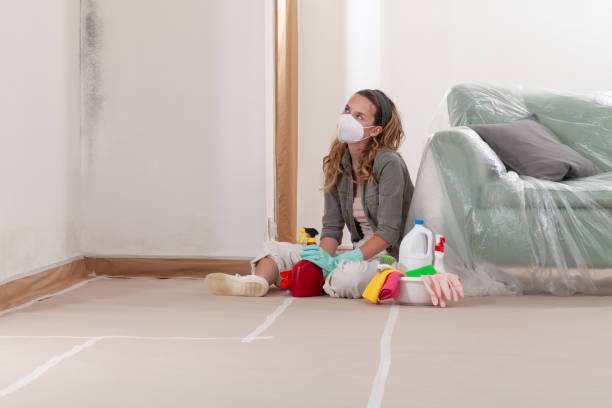 Reliable Mold Remediation contractor in Vancouver, WA by WQB Mold Removal
